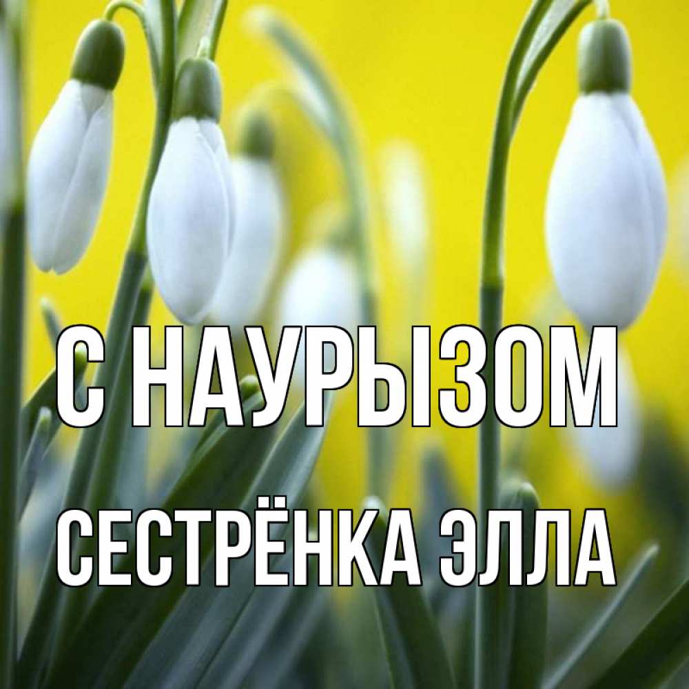 Открытка на каждый день с именем, Сестрёнка-Элла С наурызом весенние цветы Прикольная открытка с пожеланием онлайн скачать бесплатно 