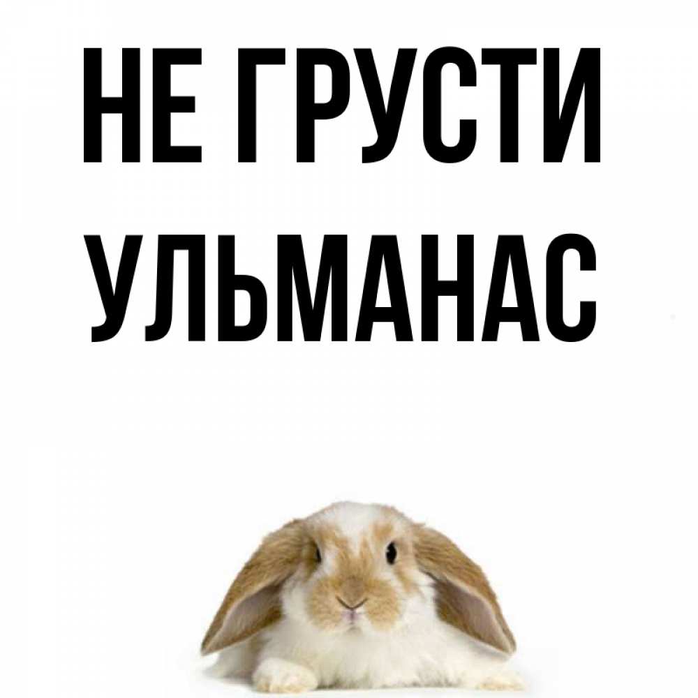 Открытка на каждый день с именем, Ульманас Не грусти коричнево белый заяц с большими ушками Прикольная открытка с пожеланием онлайн скачать бесплатно 