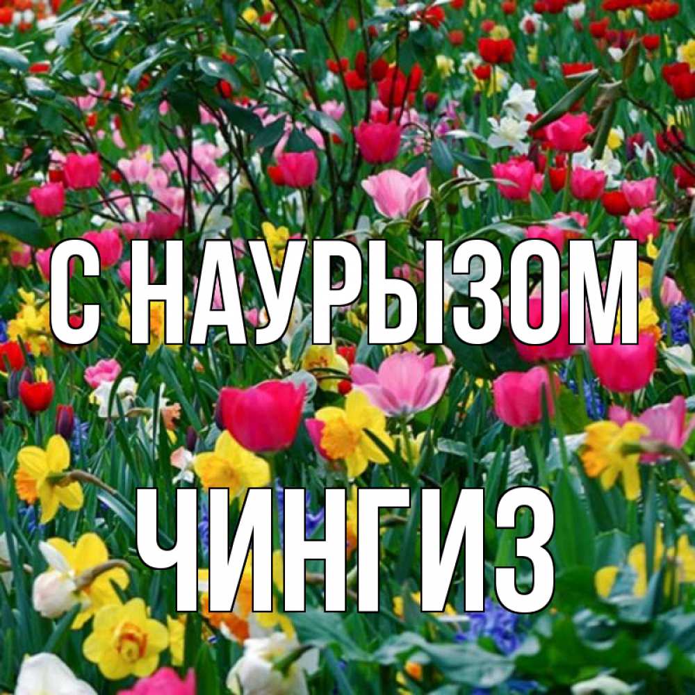 Открытка на каждый день с именем, Чингиз С наурызом с наурызом праздником весны поздравления для женщины Прикольная открытка с пожеланием онлайн скачать бесплатно 