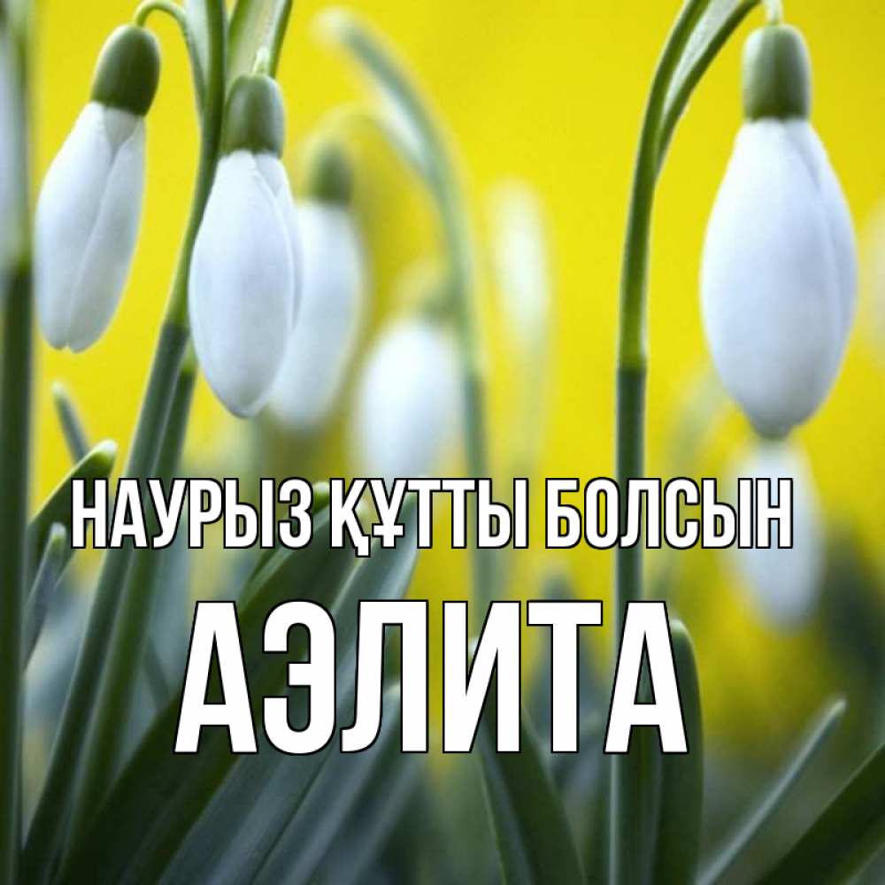 Открытка на каждый день с именем, Аэлита Наурыз құтты болсын весенние цветы Прикольная открытка с пожеланием онлайн скачать бесплатно 