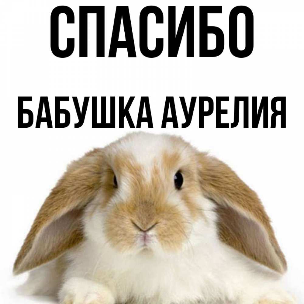 Открытка на каждый день с именем, Бабушка-Аурелия Спасибо коричнево белый заяц Прикольная открытка с пожеланием онлайн скачать бесплатно 