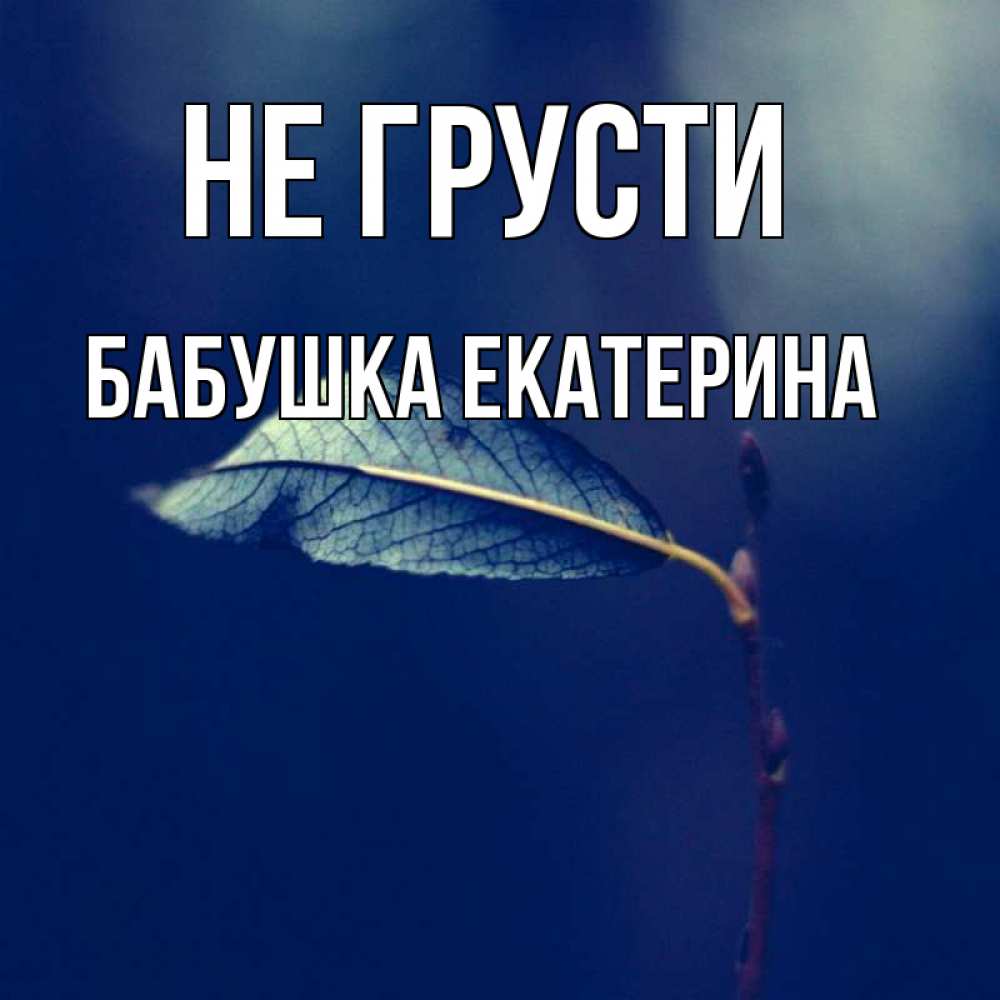 Открытка на каждый день с именем, Бабушка-Екатерина Не грусти растение Прикольная открытка с пожеланием онлайн скачать бесплатно 