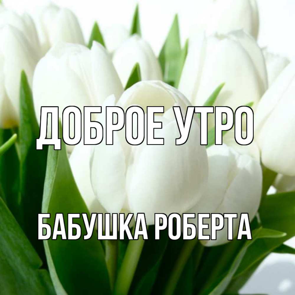 Открытка на каждый день с именем, Бабушка-Роберта Доброе утро открытки на каждый день по именам Прикольная открытка с пожеланием онлайн скачать бесплатно 