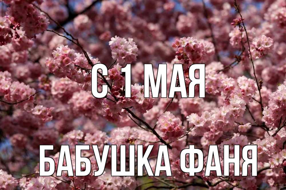 Открытка на каждый день с именем, Бабушка-Фаня С 1 мая С 1 мая Прикольная открытка с пожеланием онлайн скачать бесплатно 