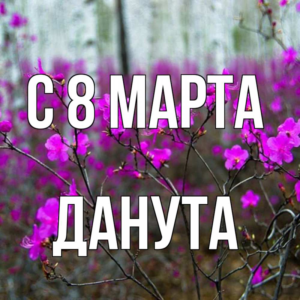 Открытка на каждый день с именем, Данута С 8 МАРТА дикие цветы Прикольная открытка с пожеланием онлайн скачать бесплатно 