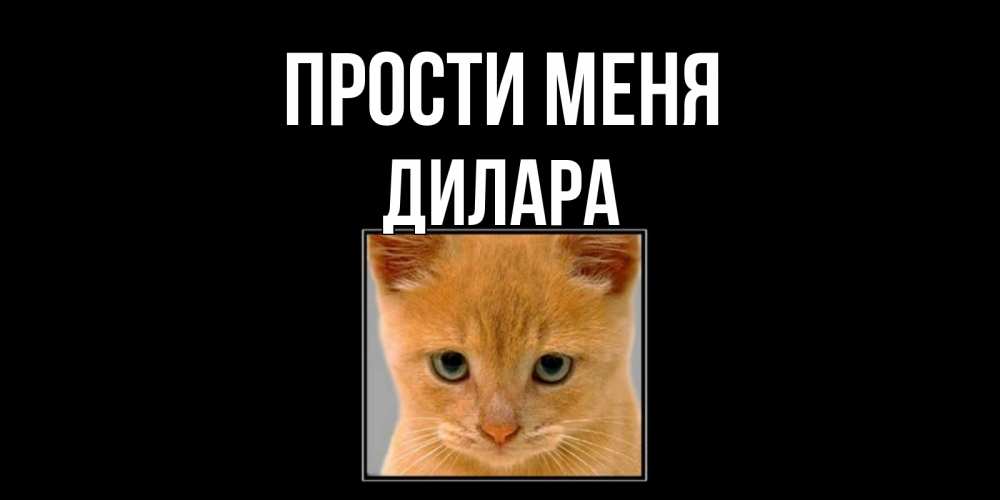 Открытка на каждый день с именем, Дилара Прости меня рыжий грустный кот просит прощения Прикольная открытка с пожеланием онлайн скачать бесплатно 