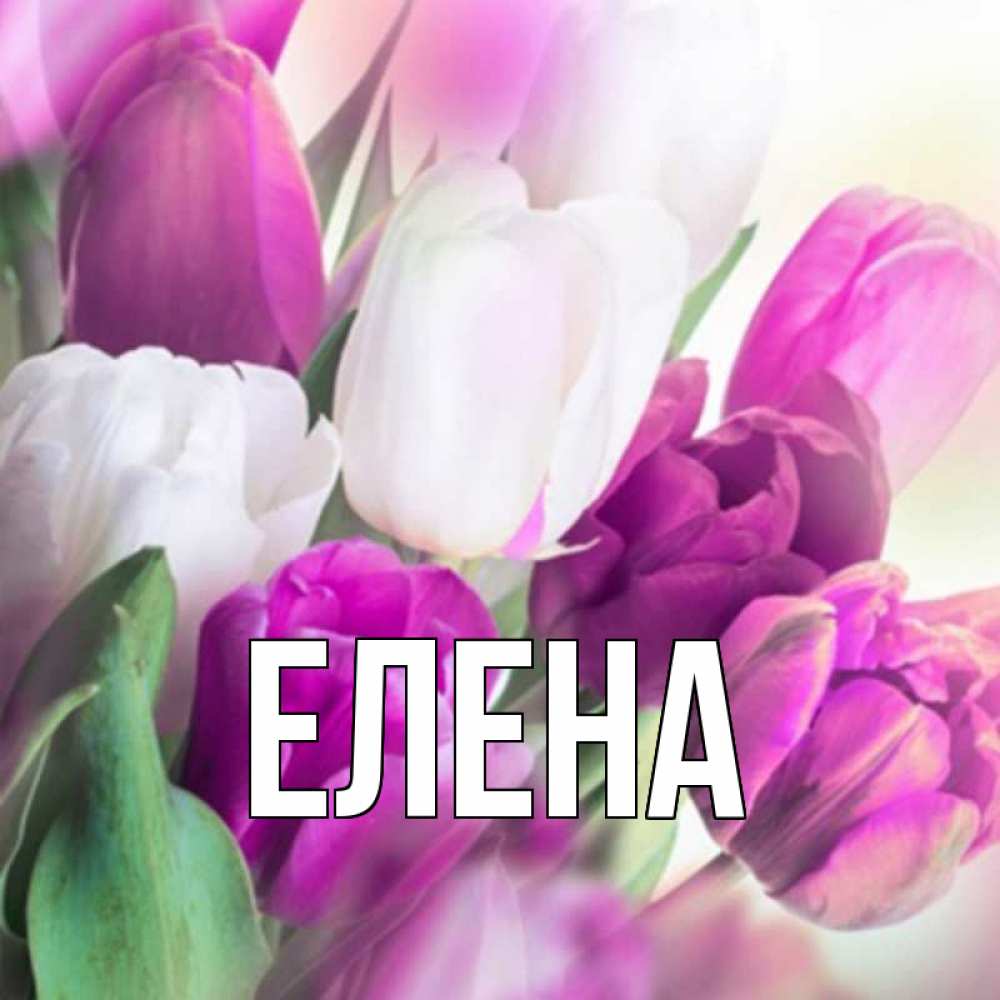 Открытка на каждый день с именем, Елена Главная весна 1 Прикольная открытка с пожеланием онлайн скачать бесплатно 