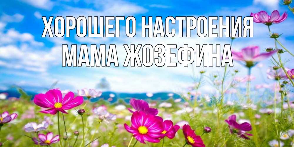 Открытка на каждый день с именем, Мама-Жозефина Хорошего настроения поле цветов Прикольная открытка с пожеланием онлайн скачать бесплатно 