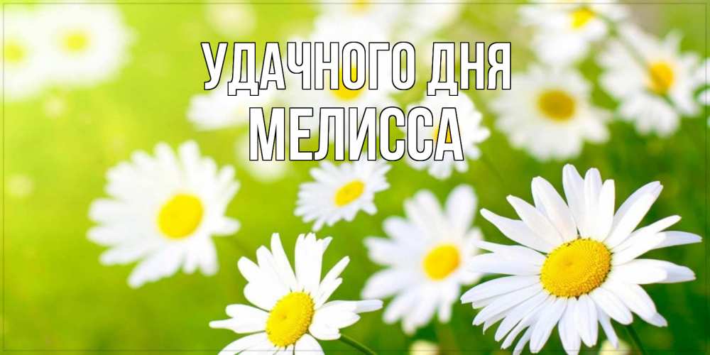 Открытка на каждый день с именем, Мелисса Удачного дня открытка с ромашками на зеленом фоне Прикольная открытка с пожеланием онлайн скачать бесплатно 