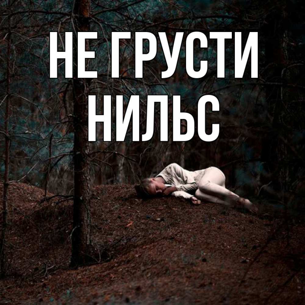 Открытка на каждый день с именем, Нильс Не грусти лес Прикольная открытка с пожеланием онлайн скачать бесплатно 