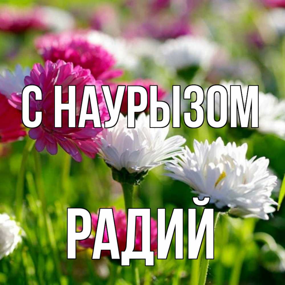 Открытка на каждый день с именем, Радий С наурызом праздник весны наурыз красота Прикольная открытка с пожеланием онлайн скачать бесплатно 