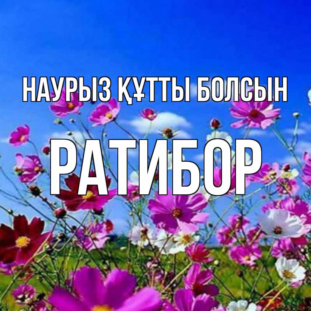 Открытка на каждый день с именем, Ратибор Наурыз құтты болсын цветы Прикольная открытка с пожеланием онлайн скачать бесплатно 