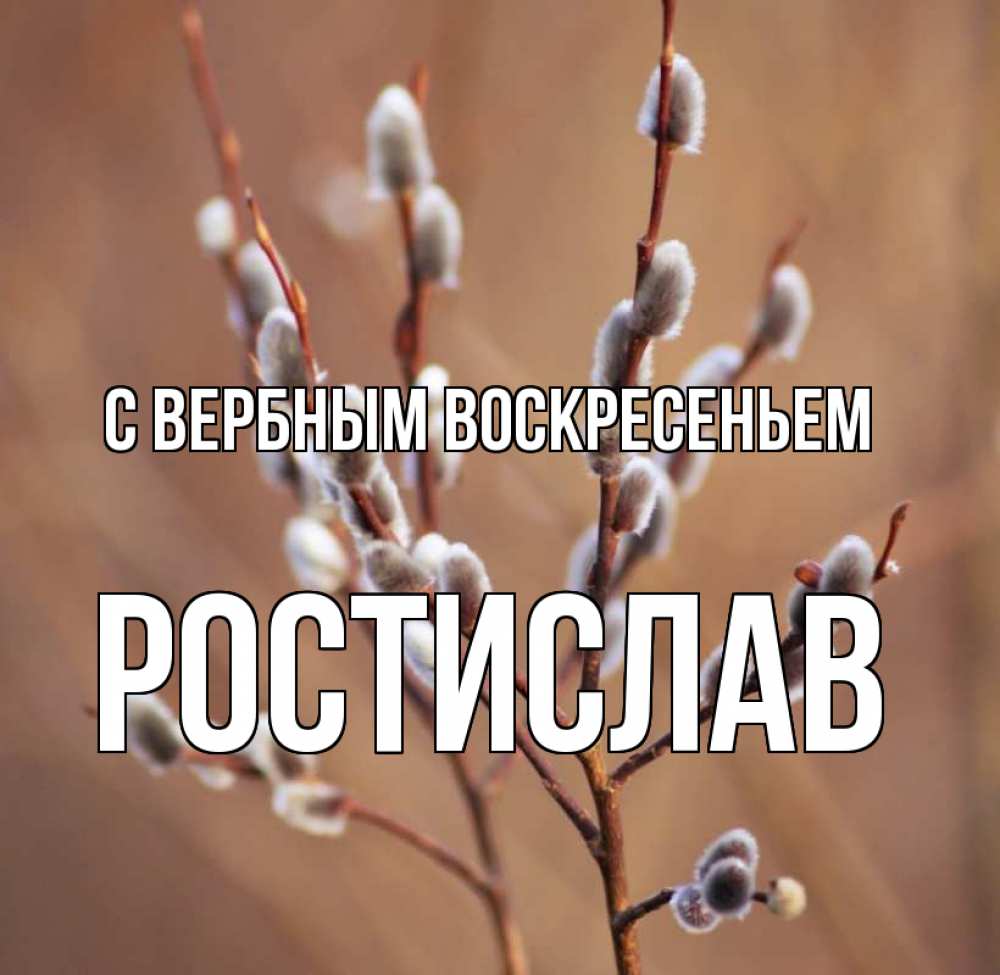 Открытка на каждый день с именем, Ростислав С вербным воскресеньем верба Прикольная открытка с пожеланием онлайн скачать бесплатно 