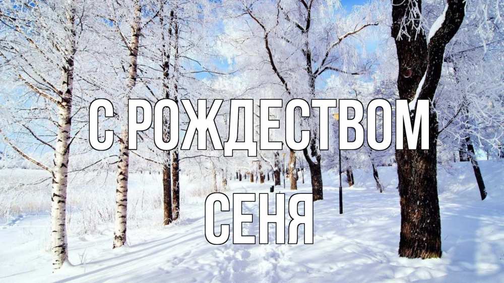 Открытка на каждый день с именем, Сеня С рождеством зимний лес Прикольная открытка с пожеланием онлайн скачать бесплатно 