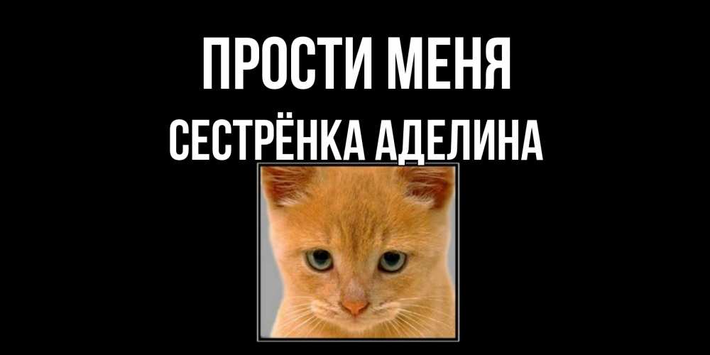 Открытка на каждый день с именем, Сестрёнка-Аделина Прости меня рыжий грустный кот просит прощения Прикольная открытка с пожеланием онлайн скачать бесплатно 