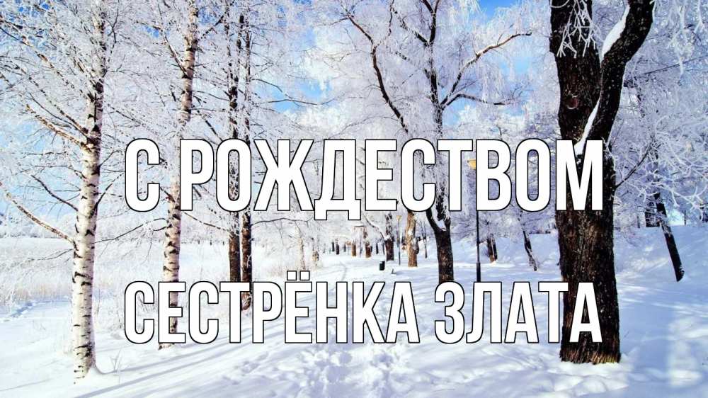 Открытка на каждый день с именем, Сестрёнка-Злата С рождеством зимний лес Прикольная открытка с пожеланием онлайн скачать бесплатно 