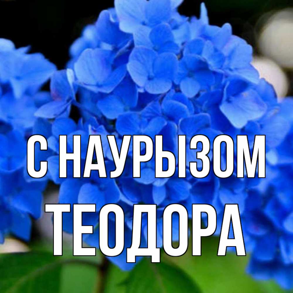 Открытка на каждый день с именем, Теодора С наурызом синие цветы Прикольная открытка с пожеланием онлайн скачать бесплатно 