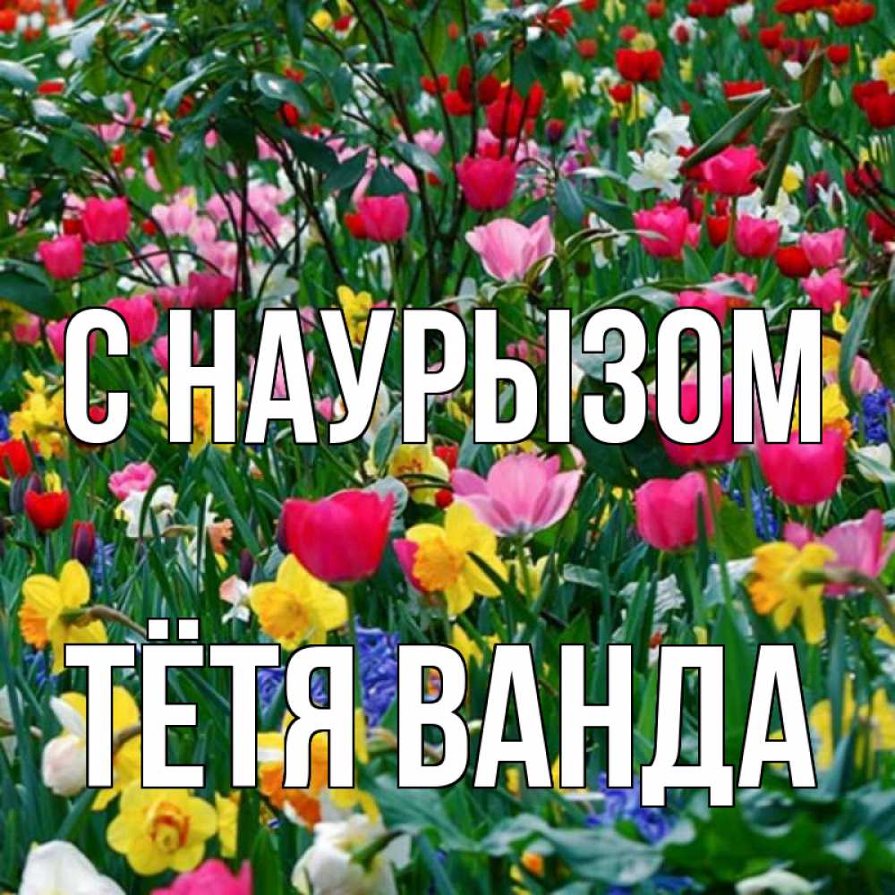 Открытка на каждый день с именем, Тётя-Ванда С наурызом с наурызом праздником весны поздравления для женщины Прикольная открытка с пожеланием онлайн скачать бесплатно 