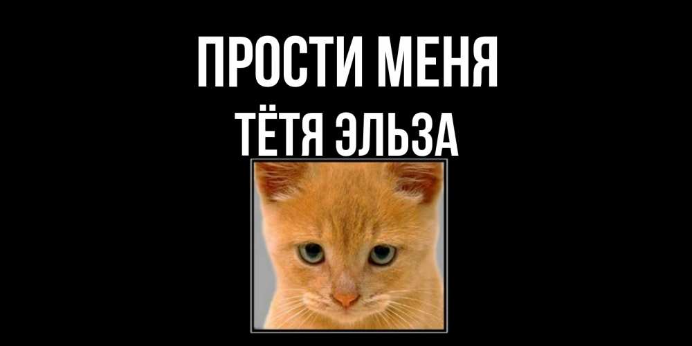 Открытка на каждый день с именем, Тётя-Эльза Прости меня рыжий грустный кот просит прощения Прикольная открытка с пожеланием онлайн скачать бесплатно 