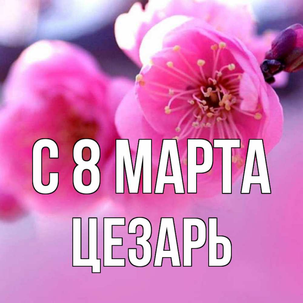 Открытка на каждый день с именем, Цезарь С 8 МАРТА международный женский день Прикольная открытка с пожеланием онлайн скачать бесплатно 