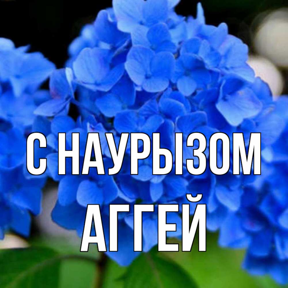 Открытка на каждый день с именем, Аггей С наурызом синие цветы Прикольная открытка с пожеланием онлайн скачать бесплатно 