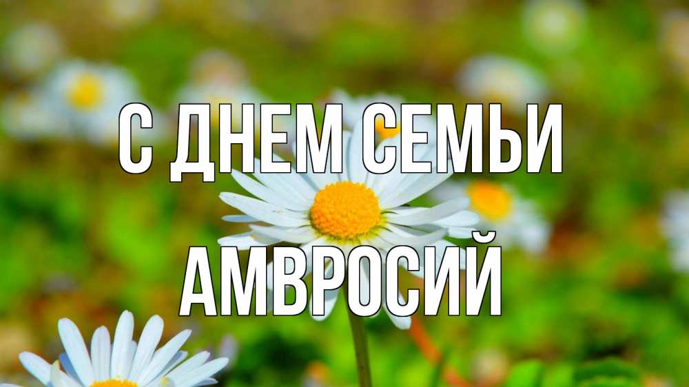Открытка на каждый день с именем, Амвросий С днем семьи с днем семьи Прикольная открытка с пожеланием онлайн скачать бесплатно 