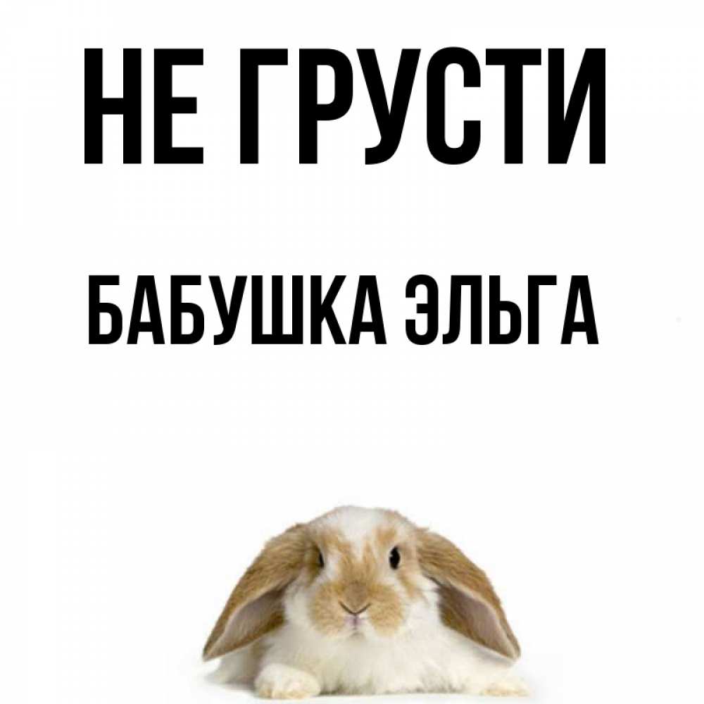 Открытка на каждый день с именем, Бабушка-Эльга Не грусти коричнево белый заяц с большими ушками Прикольная открытка с пожеланием онлайн скачать бесплатно 