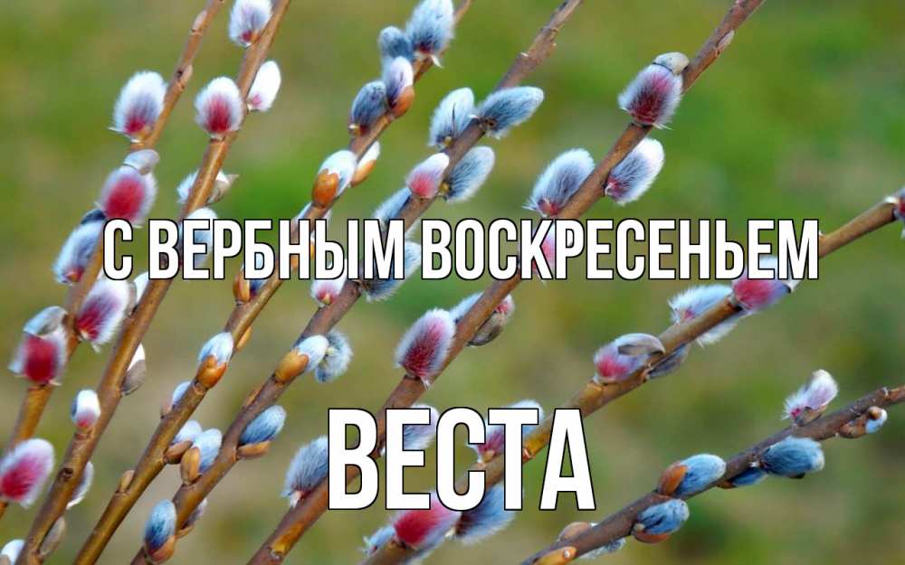 Открытка на каждый день с именем, Веста С вербным воскресеньем верба Прикольная открытка с пожеланием онлайн скачать бесплатно 