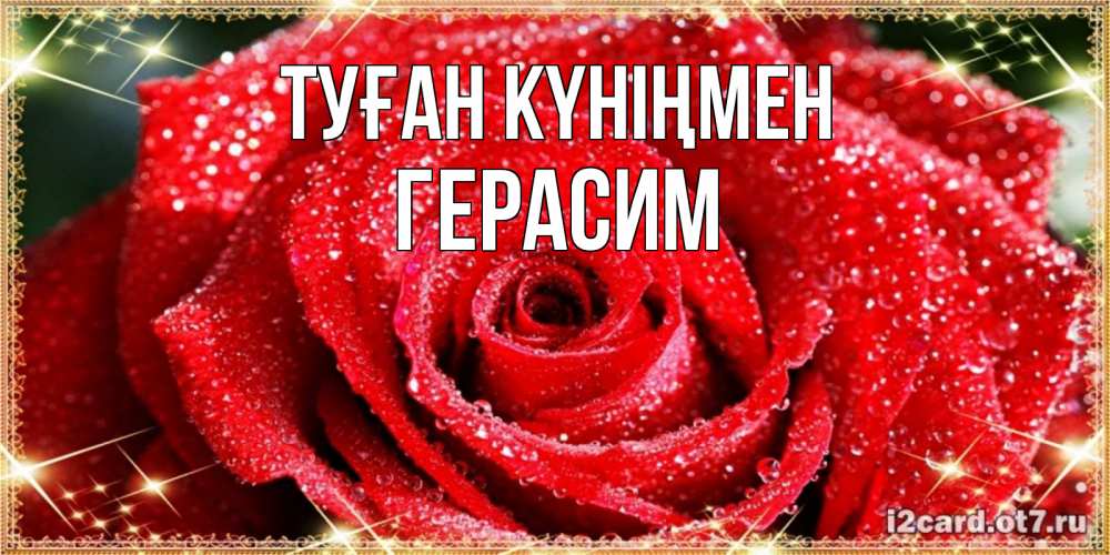 Открытка на каждый день с именем, Герасим Туған күніңмен роса и роза. открытка с красивой розой Прикольная открытка с пожеланием онлайн скачать бесплатно 