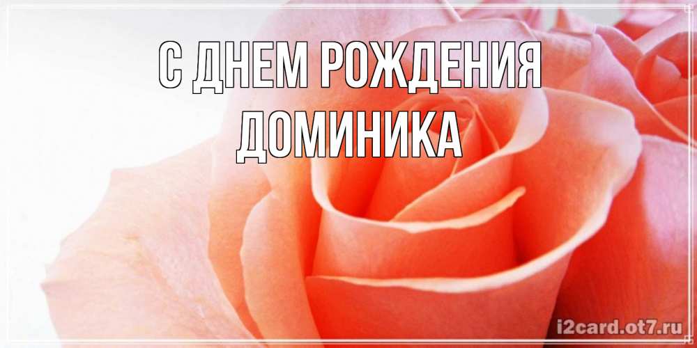 Открытка на каждый день с именем, Доминика С днем рождения розы для поздравления с днем рождения Прикольная открытка с пожеланием онлайн скачать бесплатно 