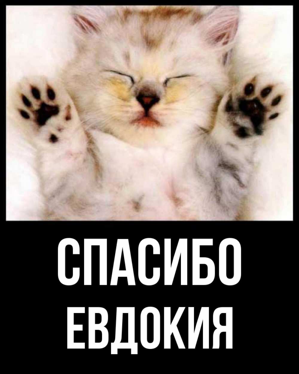 Открытка на каждый день с именем, Евдокия Спасибо маленький котенок Прикольная открытка с пожеланием онлайн скачать бесплатно 