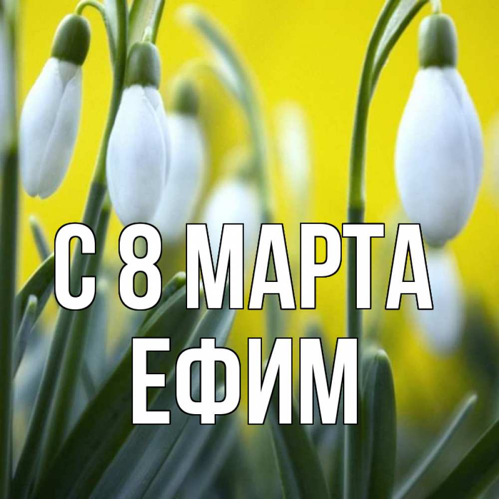 Открытка на каждый день с именем, Ефим С 8 МАРТА весенние цветы Прикольная открытка с пожеланием онлайн скачать бесплатно 