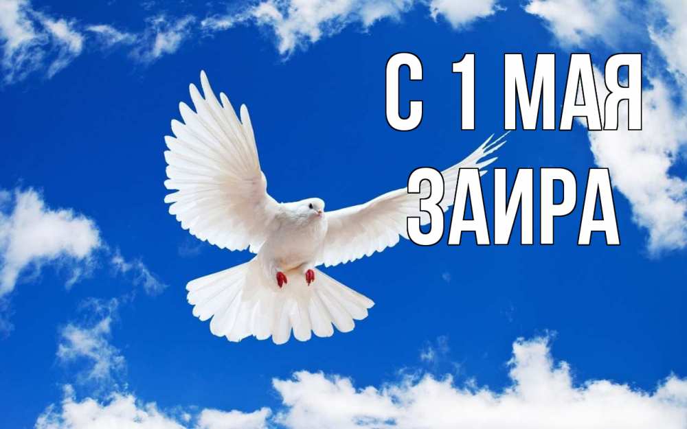 Открытка на каждый день с именем, Заира С 1 мая С 1 мая 1 Прикольная открытка с пожеланием онлайн скачать бесплатно 