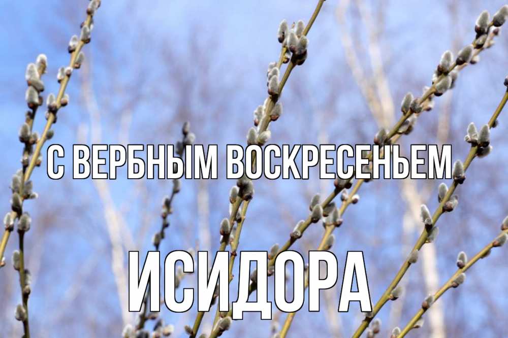 Открытка на каждый день с именем, Исидора С вербным воскресеньем верба Прикольная открытка с пожеланием онлайн скачать бесплатно 