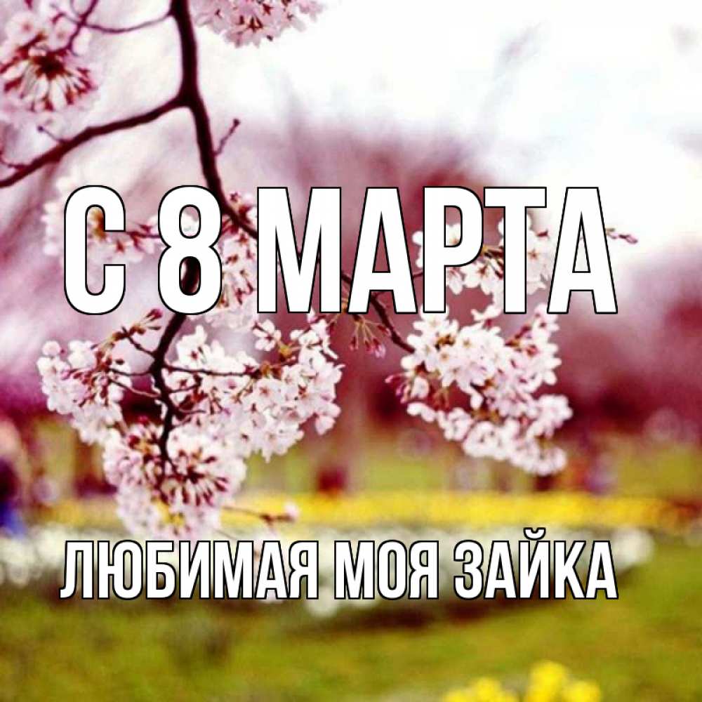 Открытка на каждый день с именем, Любимая-моя-зайка С 8 марта яблоня Прикольная открытка с пожеланием онлайн скачать бесплатно 