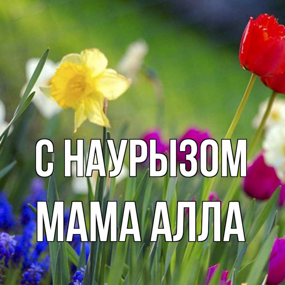 Открытка на каждый день с именем, Мама-Алла С наурызом праздник весны наурыз 3 Прикольная открытка с пожеланием онлайн скачать бесплатно 