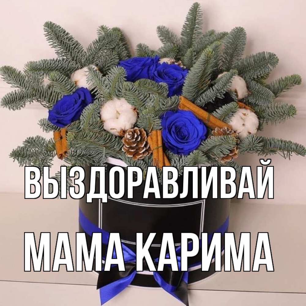 Открытка на каждый день с именем, Мама-Карима Выздоравливай короче кто то загрузил эти шишки Прикольная открытка с пожеланием онлайн скачать бесплатно 