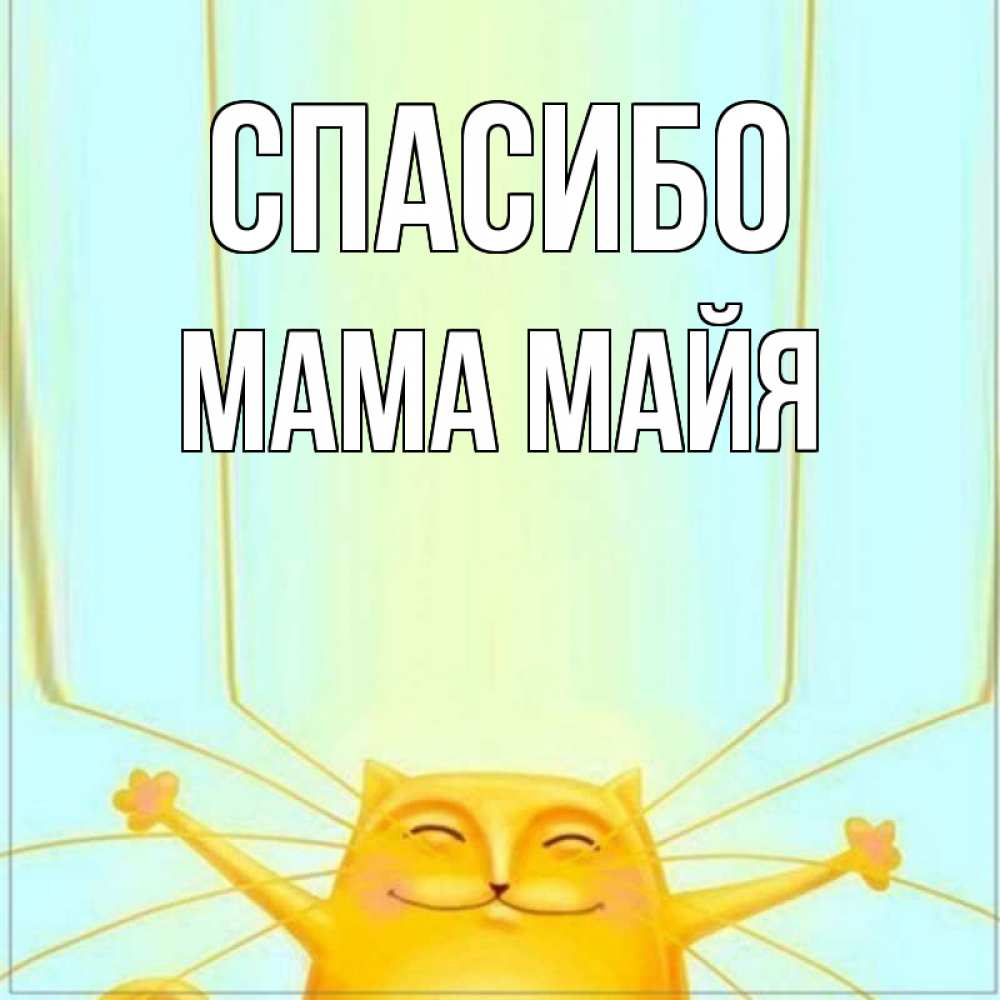 Открытка на каждый день с именем, Мама-Майя Спасибо кот с усами благодарит Прикольная открытка с пожеланием онлайн скачать бесплатно 