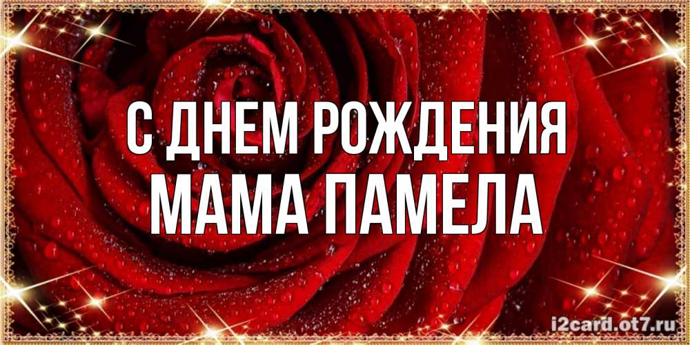 Открытка на каждый день с именем, Мама-Памела С днем рождения роса на розе блестящая в лучах солнца Прикольная открытка с пожеланием онлайн скачать бесплатно 