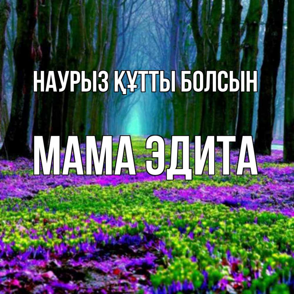 Открытка на каждый день с именем, Мама-Эдита Наурыз құтты болсын фиолетовые цветы в лесу 1 Прикольная открытка с пожеланием онлайн скачать бесплатно 