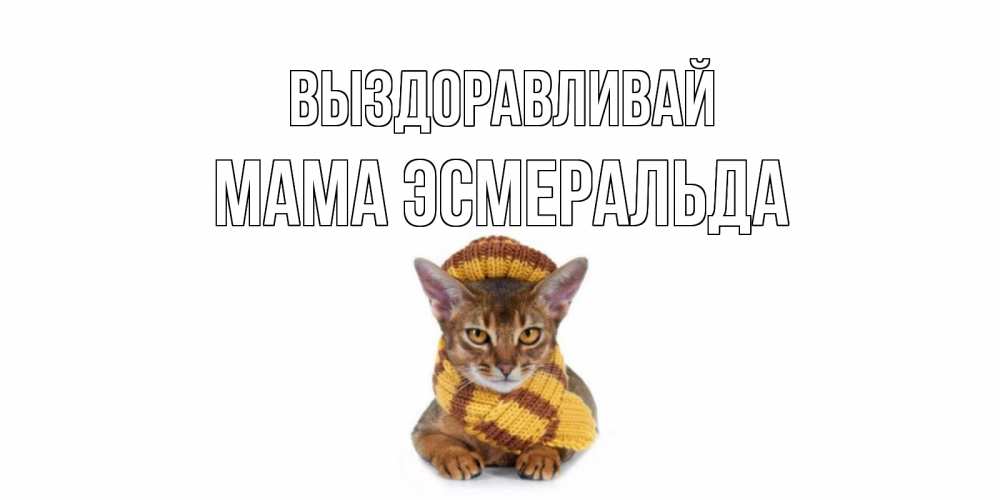 Открытка на каждый день с именем, Мама-Эсмеральда Выздоравливай родные не болейте Прикольная открытка с пожеланием онлайн скачать бесплатно 