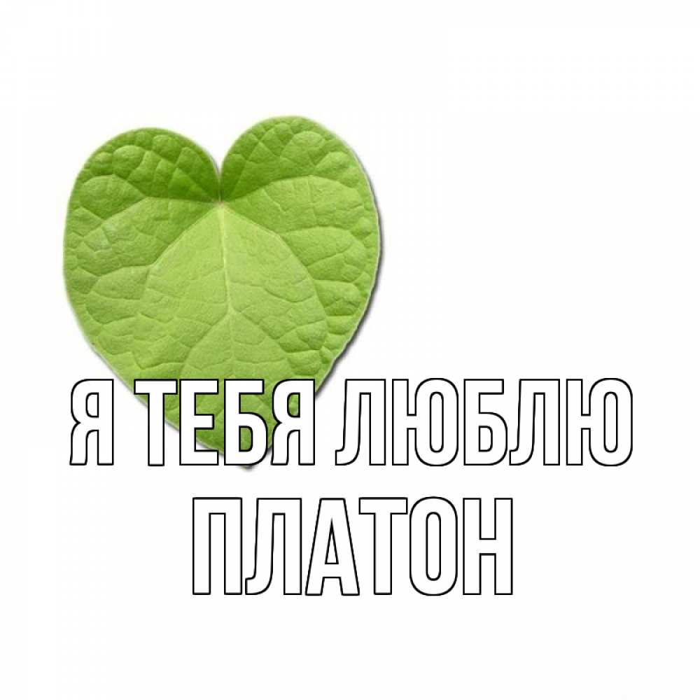Открытка на каждый день с именем, Платон Я тебя люблю тебе Прикольная открытка с пожеланием онлайн скачать бесплатно 