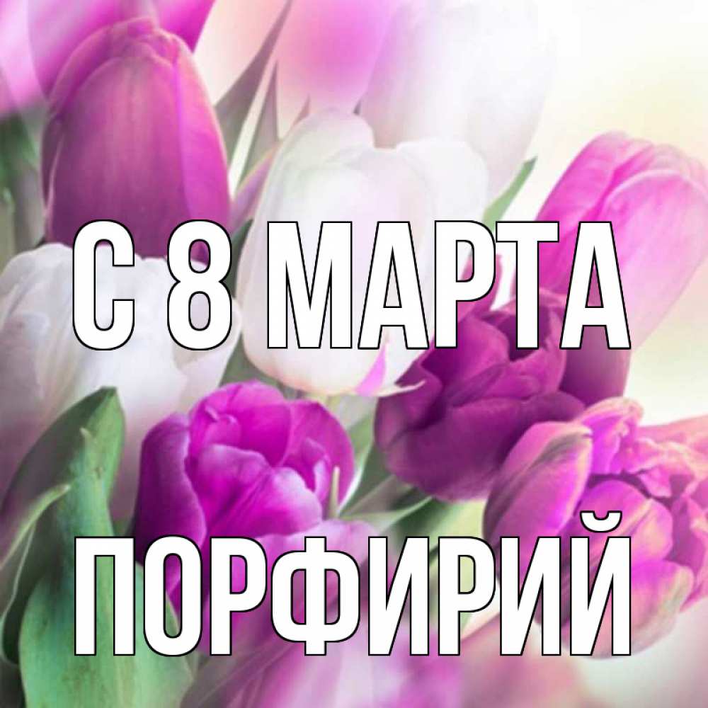 Открытка на каждый день с именем, Порфирий С 8 МАРТА весна 1 Прикольная открытка с пожеланием онлайн скачать бесплатно 