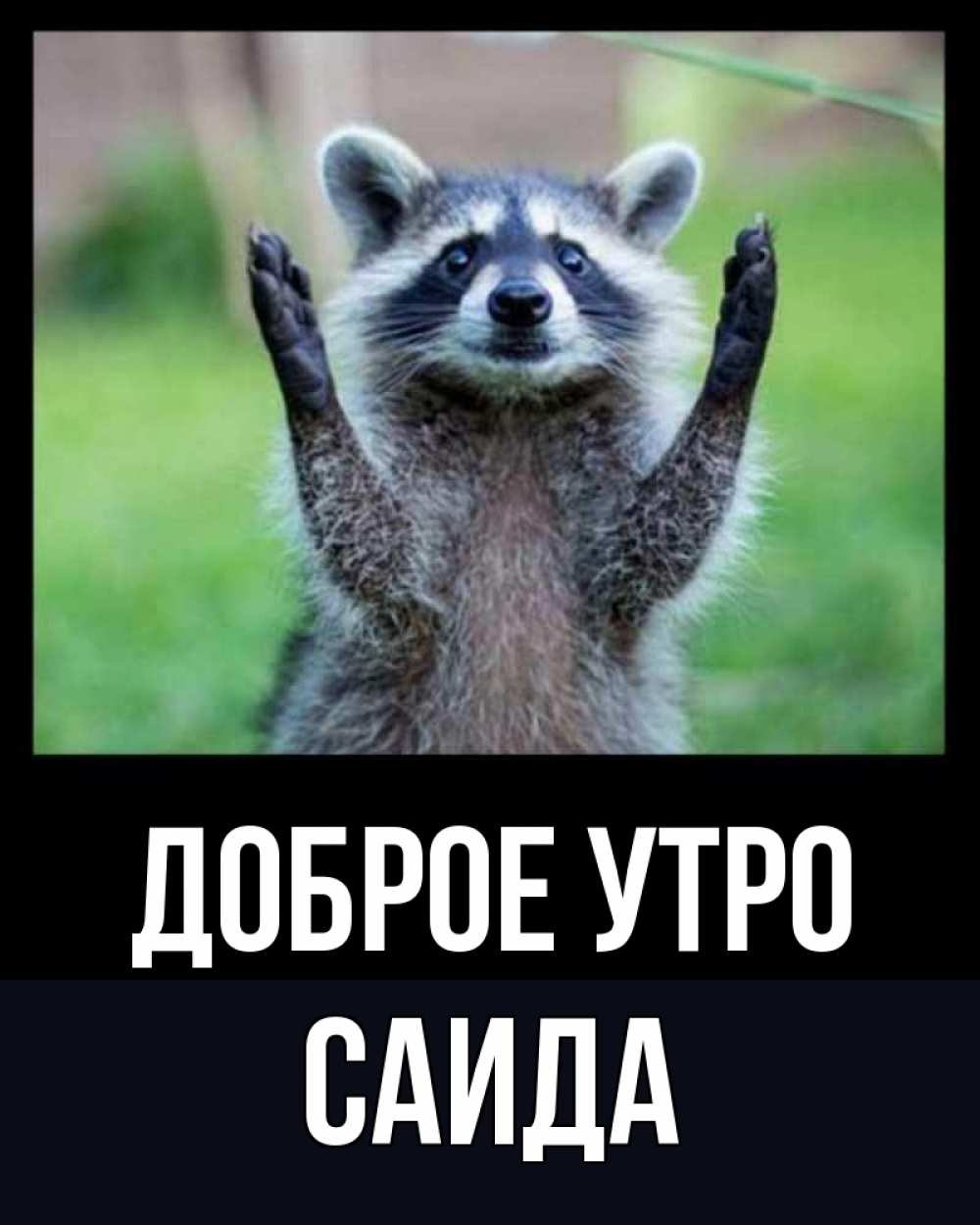 Открытка на каждый день с именем, Саида Доброе утро хорошее настроение утречком Прикольная открытка с пожеланием онлайн скачать бесплатно 