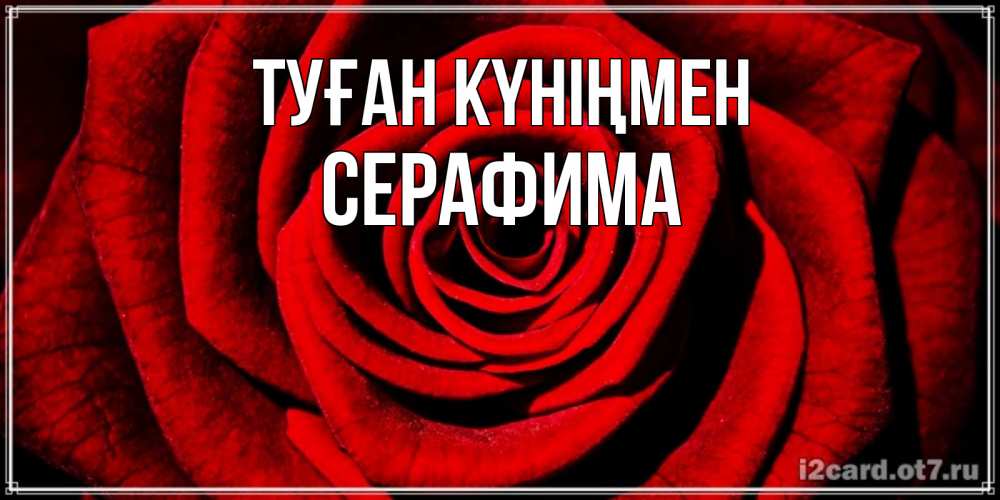 Открытка на каждый день с именем, Серафима Туған күніңмен алая роза Прикольная открытка с пожеланием онлайн скачать бесплатно 