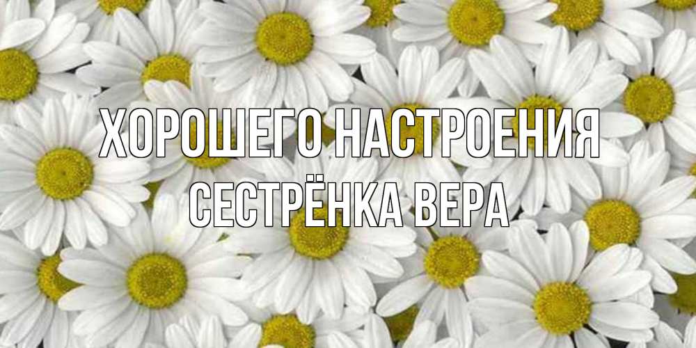 Открытка на каждый день с именем, Сестрёнка-Вера Хорошего настроения поляна ромашек Прикольная открытка с пожеланием онлайн скачать бесплатно 