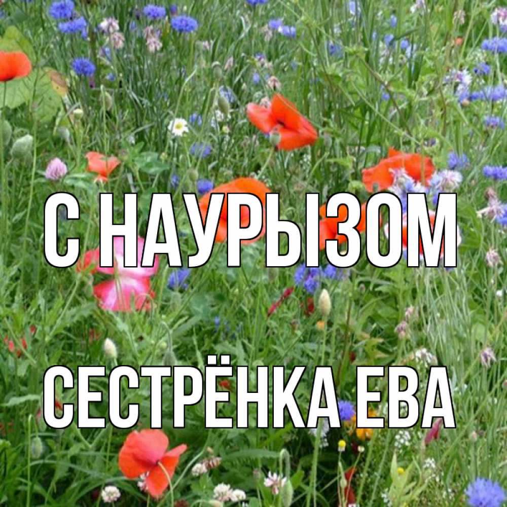 Открытка на каждый день с именем, Сестрёнка-Ева С наурызом праздник весны наурыз супер открытка Прикольная открытка с пожеланием онлайн скачать бесплатно 