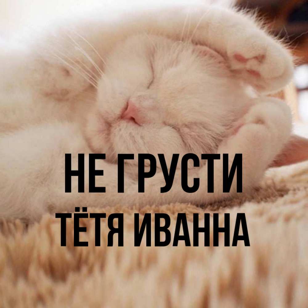 Открытка на каждый день с именем, Тётя-Иванна Не грусти Котенок спит Прикольная открытка с пожеланием онлайн скачать бесплатно 