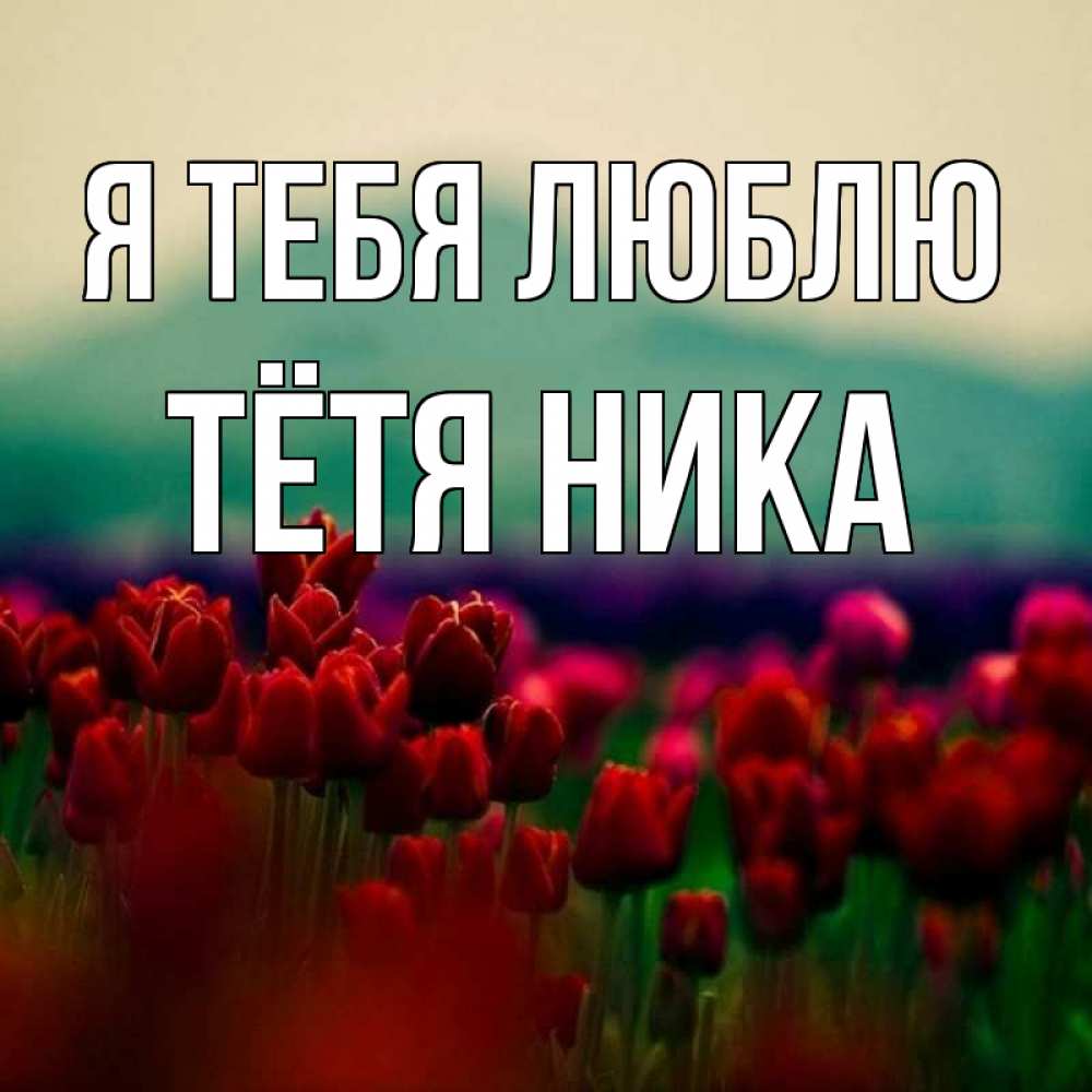 Открытка на каждый день с именем, Тётя-Ника Я тебя люблю тюльпаны 4 Прикольная открытка с пожеланием онлайн скачать бесплатно 