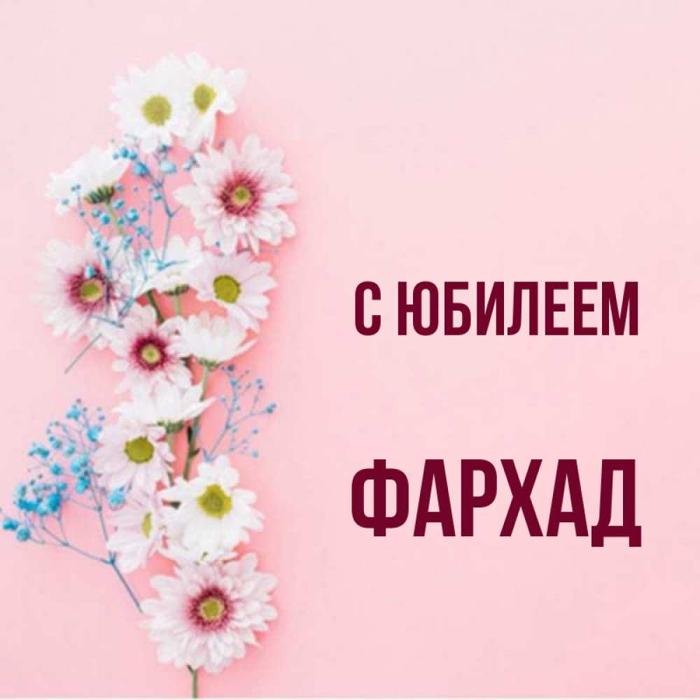 Открытка на каждый день с именем, Фархад С юбилеем Родная моя с днем рождения тебя картинка с цветами белыми и голубыми Прикольная открытка с пожеланием онлайн скачать бесплатно 